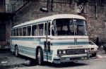 BusInt17.jpg (73606 byte)